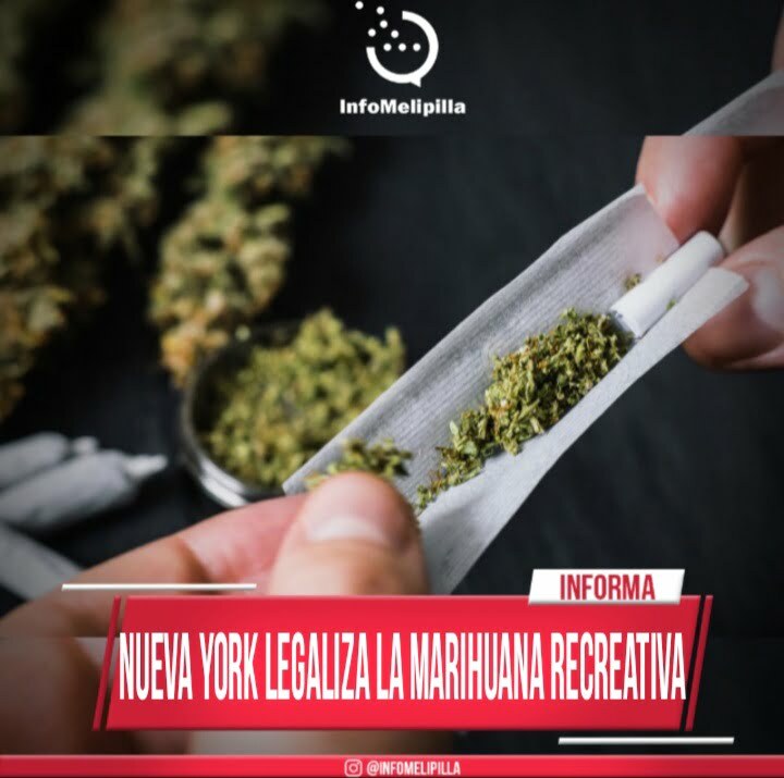 InfoMelipilla | Nueva York Legaliza La Marihuana Recreativa